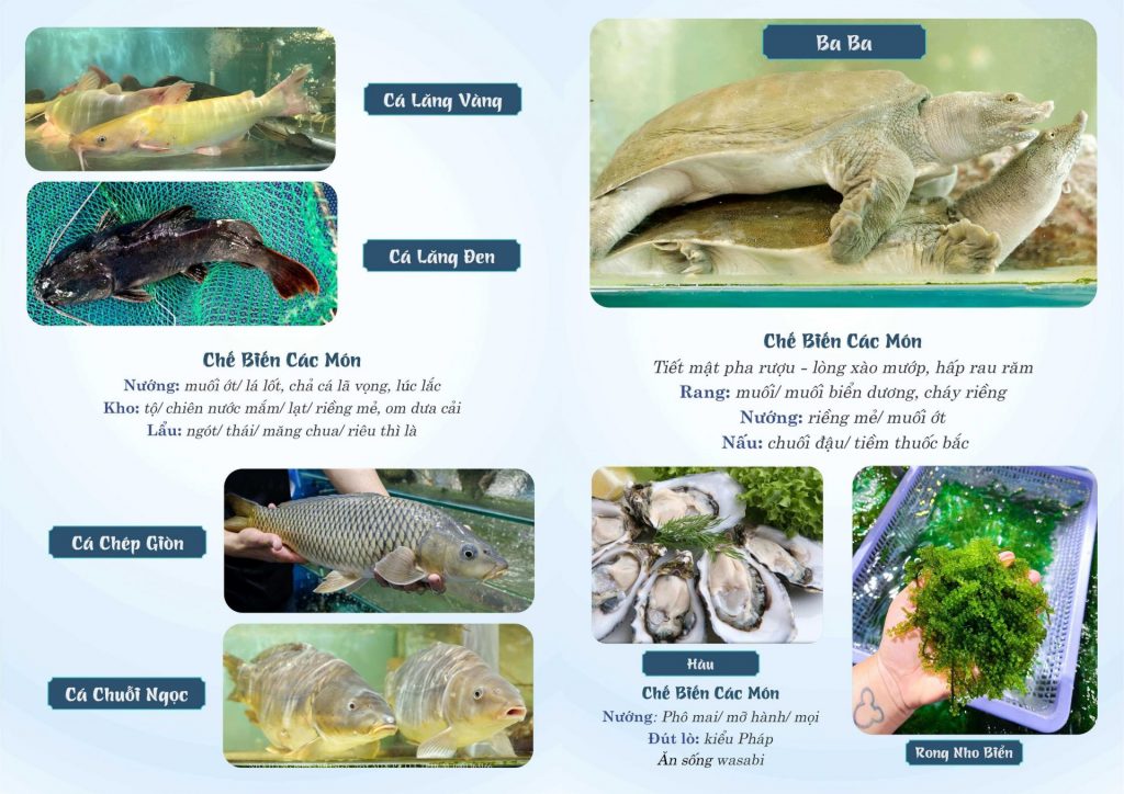 Menu Hải Sản - 11